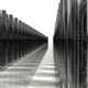 Pixabay